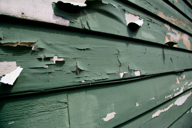  Bozeman, MT Junk Removal Pros
