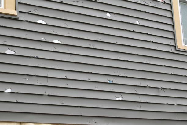 Best Shed Removal  in Bozeman, MT